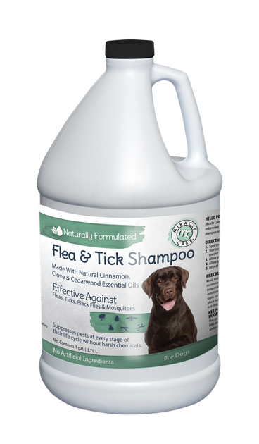 Homemade flea and tick shampoo outlet
