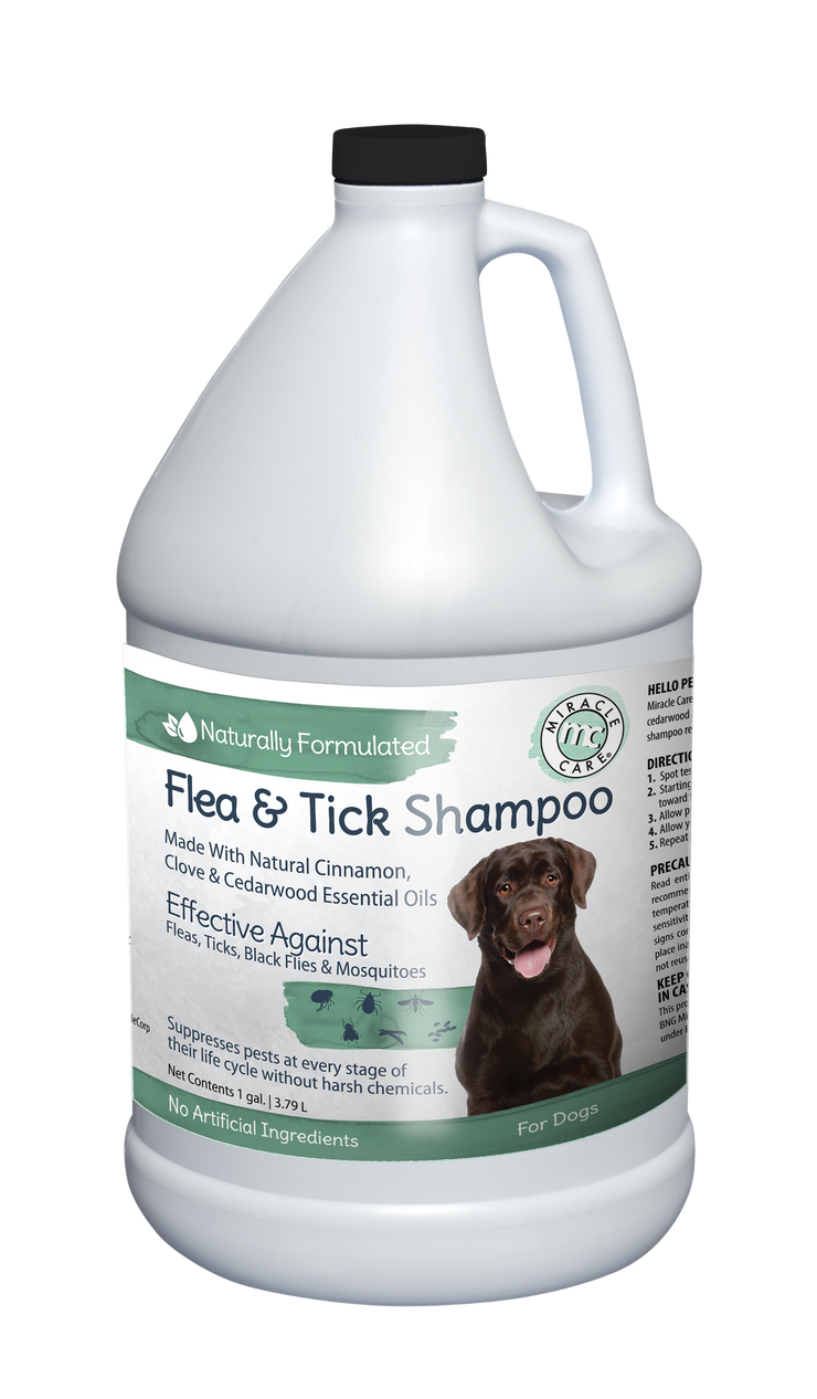 Natural Flea & Tick Shampoo for Dogs