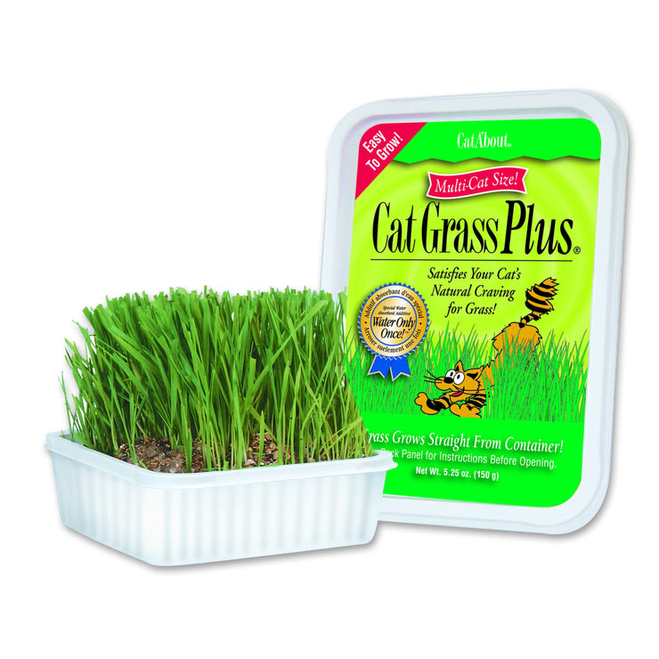 Cat A'bout Cat Grass Plus - Grass - Miracle Care - Miracle Corp