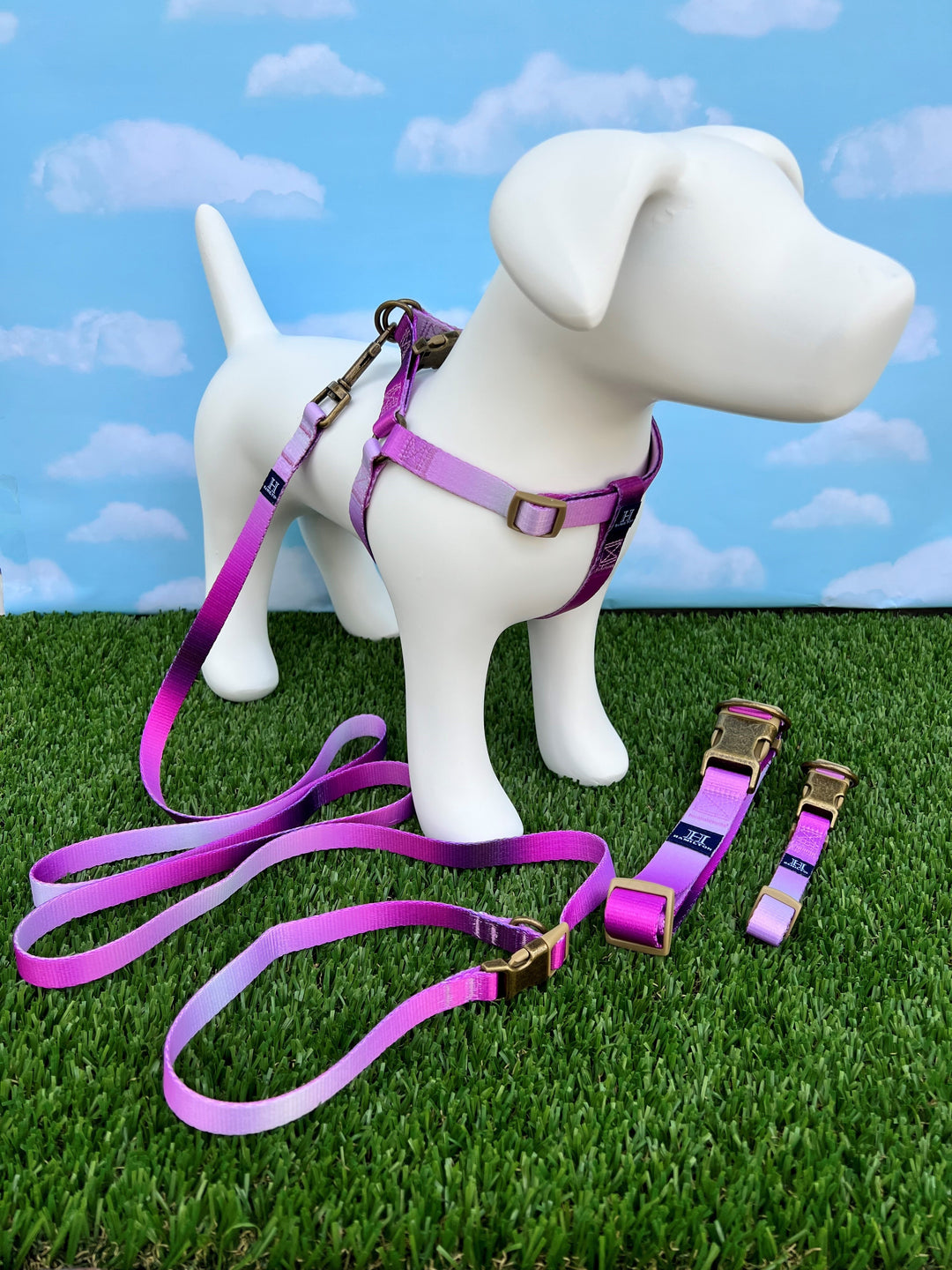 Eco Venture Recycled Ombre – BrightPet
