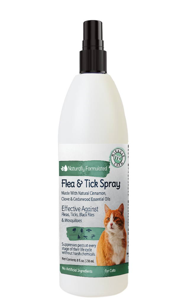 Diy flea clearance treatment for kittens