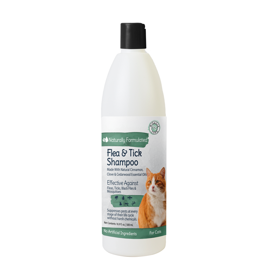 Safe flea shampoo for cats best sale