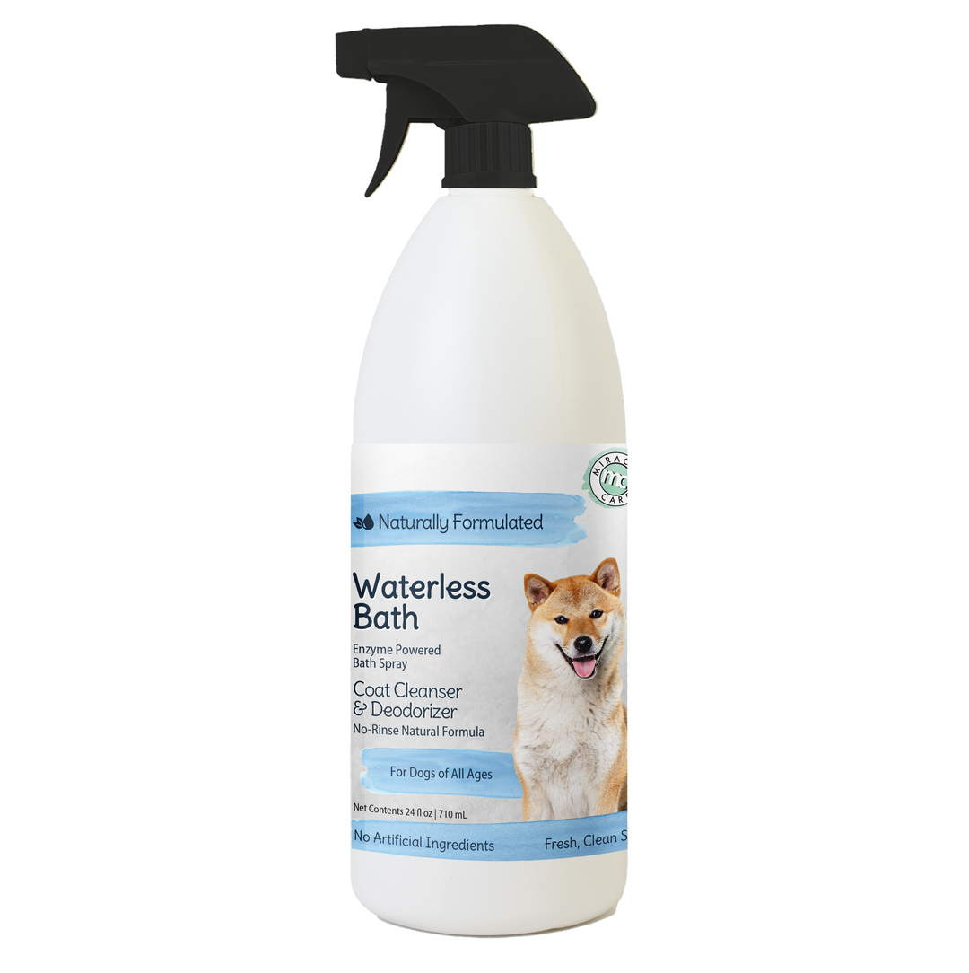 Beekman 1802 waterless dog shampoo best sale