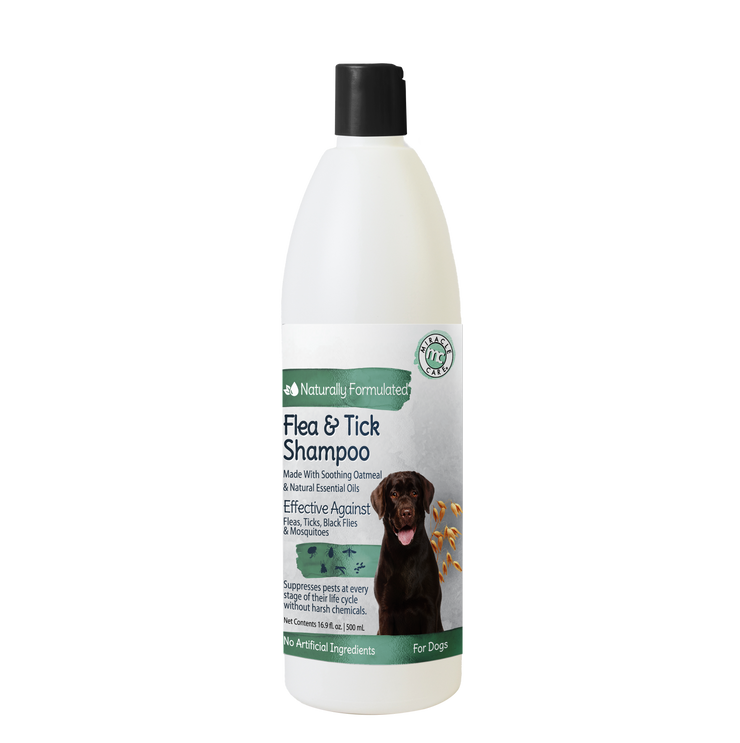 Natural Flea & Tick Shampoo for Dogs with Oatmeal