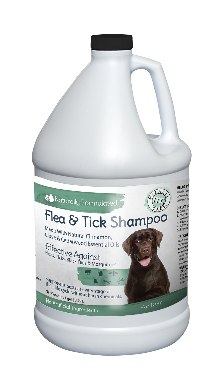 Natural Flea Tick Shampoo for Dogs