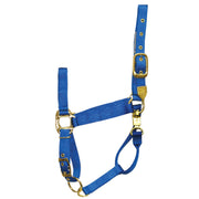 1" Deluxe Nylon Halters with Adjustable Chin Strap and Panic Snap - Halter - Hamilton - Miracle Corp