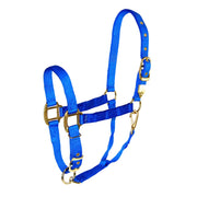 1" Deluxe Nylon Halters With Adjustable Chin & Snap - Halter - Hamilton - Miracle Corp