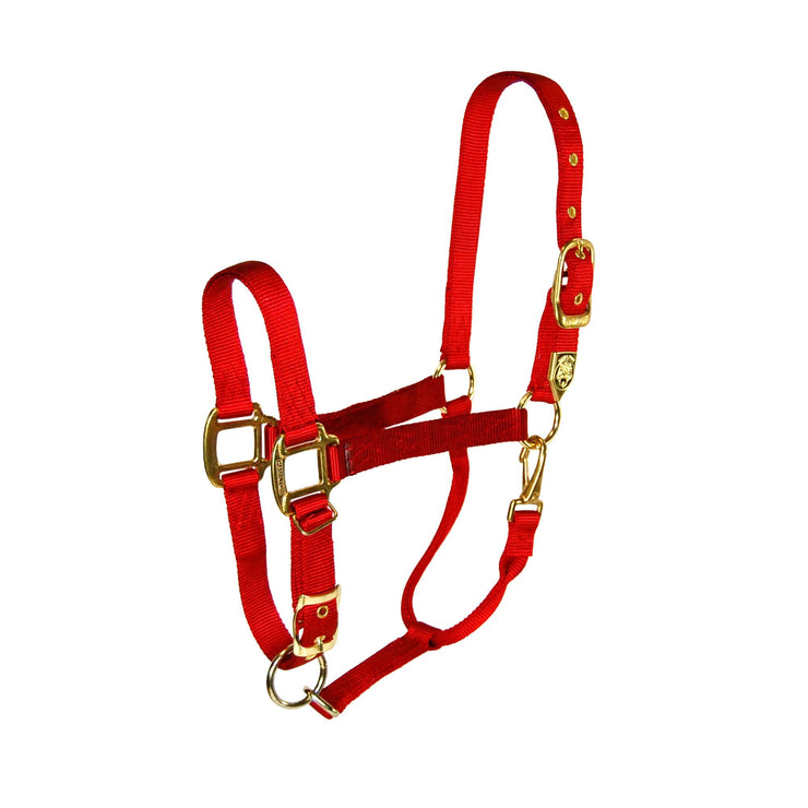 1" Draft Deluxe Nylon Halters with Adjustable Chin Strap - Halter - Hamilton - Miracle Corp