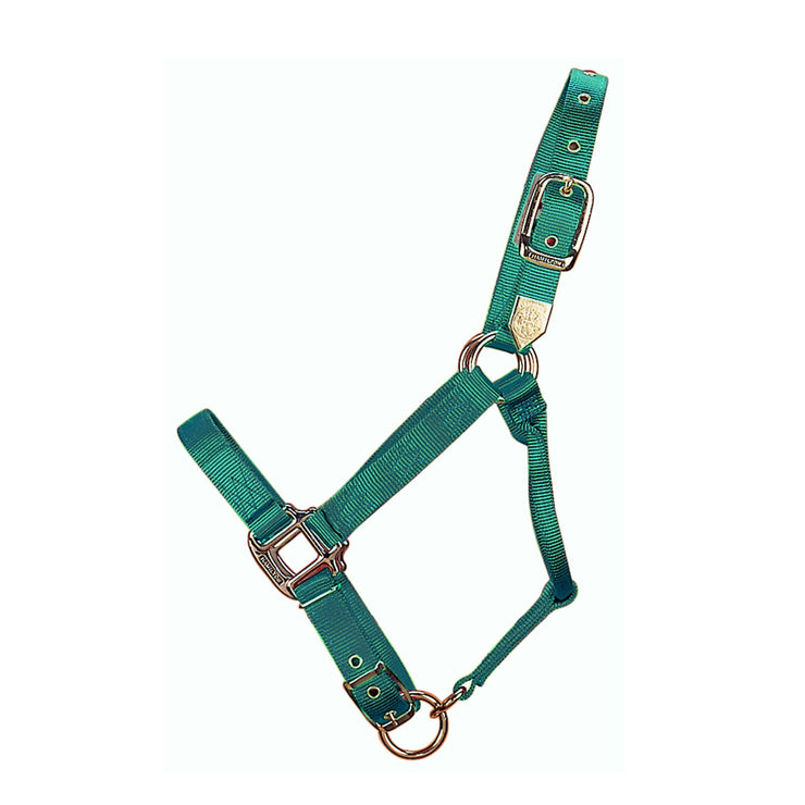 1" Deluxe Nylon Halters with Adjustable Chin Strap - Halter - Hamilton - Miracle Corp