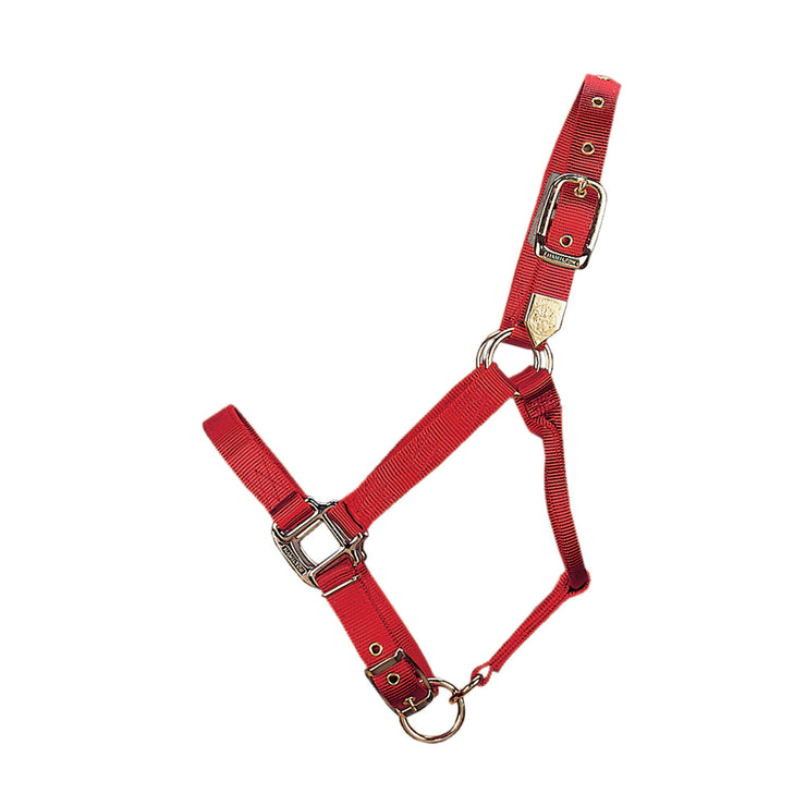 1" Deluxe Nylon Halters with Adjustable Chin Strap - Halter - Hamilton - Miracle Corp