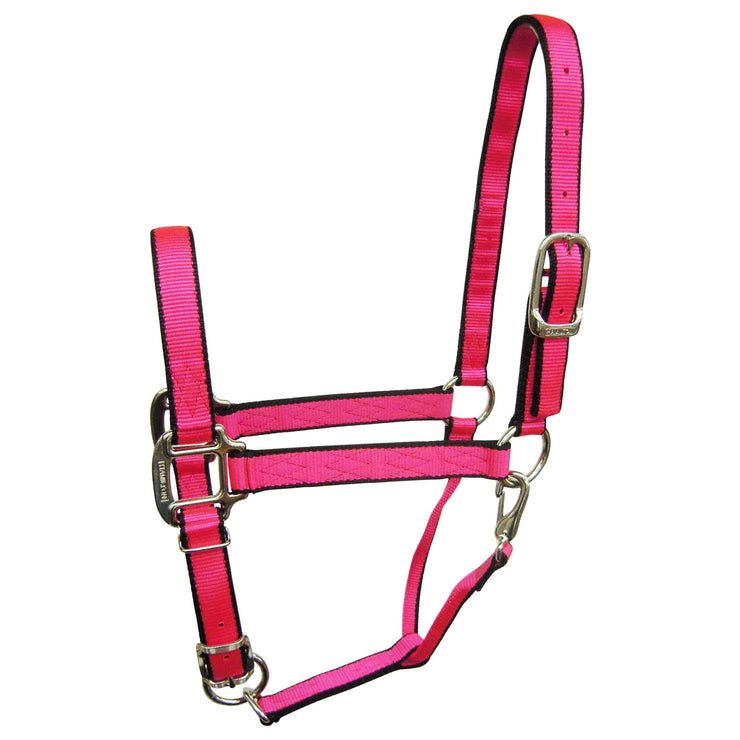 1" Quality Nylon Halters with Adjustable Chin Strap & Snap - Halter - Hamilton - Miracle Corp