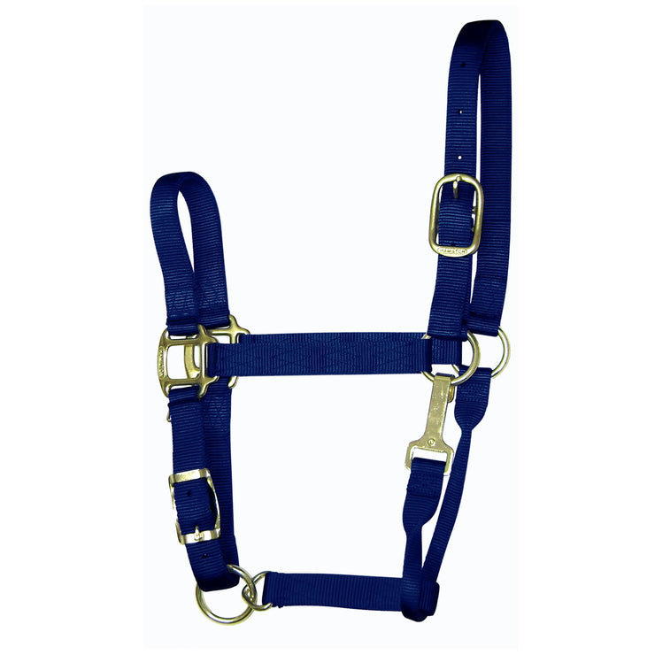1‰۝ Quality Nylon Halters with Adjustable Chin Strap & Snap - Halter - Hamilton - Miracle Corp