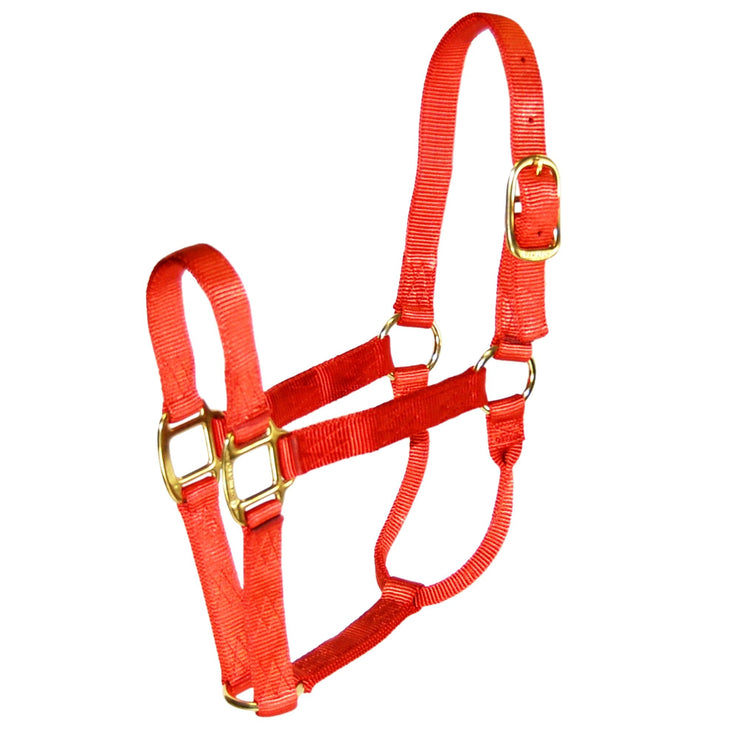 1‰۝ Quality Halter with Brass Hardware - Halter - Hamilton - Miracle Corp