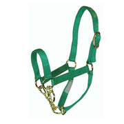 Control Halter with Chain - Halter - Hamilton - Miracle Corp