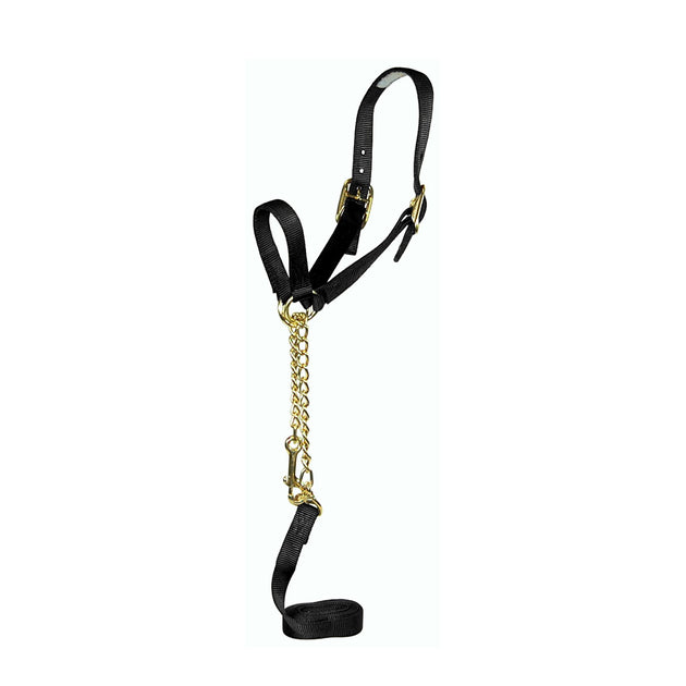 Nylon Show Halter with Control Chain, Double Buckle Crown & Lead ...