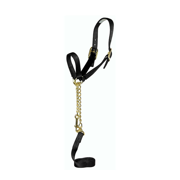 Nylon Show Halter with Control Chain, Double Buckle Crown & Lead - Halter - Hamilton - Miracle Corp