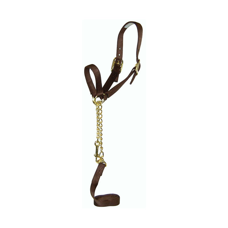 Nylon Show Halter with Control Chain, Double Buckle Crown & Lead - Halter - Hamilton - Miracle Corp