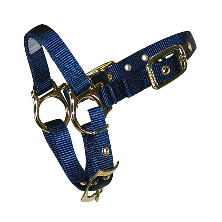 Deluxe Halter with Adjustable Chin - Halter - Hamilton - Miracle Corp