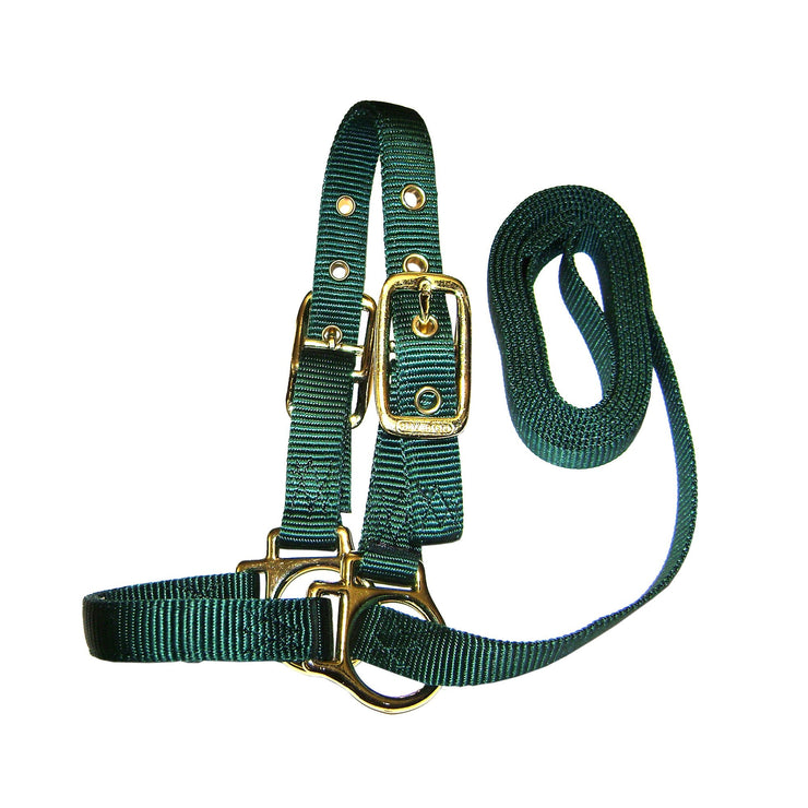 Deluxe Show Halter with Lead - Halter - Hamilton - Miracle Corp