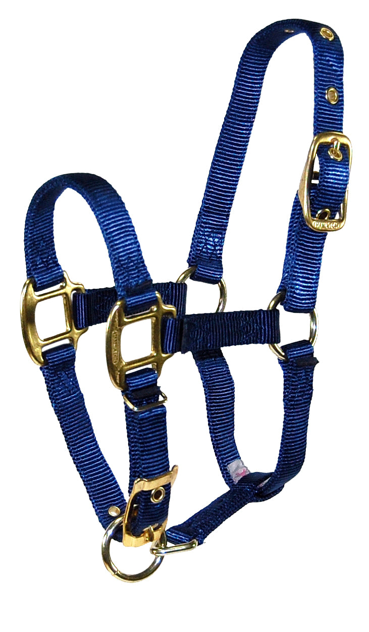 3/4" Deluxe Nylon Halters with Adjustable Chin Strap