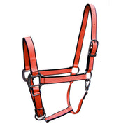 3/4" Quality Nylon Halters with Adjustable Chin Strap & Snap - Halter - Hamilton - Miracle Corp