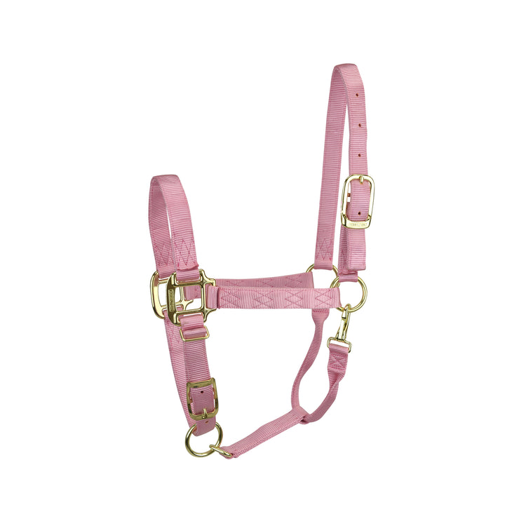 3/4” Quality Nylon Halters with Adjustable Chin Strap & Snap