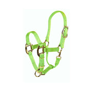 3/4” Quality Nylon Halters with Adjustable Chin Strap & Snap - Halter - Hamilton - Miracle Corp