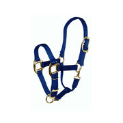 3/4” Quality Nylon Halters with Adjustable Chin Strap & Snap - Halter - Hamilton - Miracle Corp
