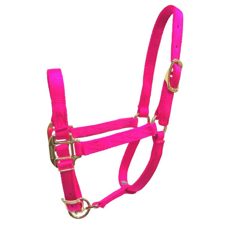 3/4” Quality Nylon Halters with Adjustable Chin Strap - Halter - Hamilton - Miracle Corp