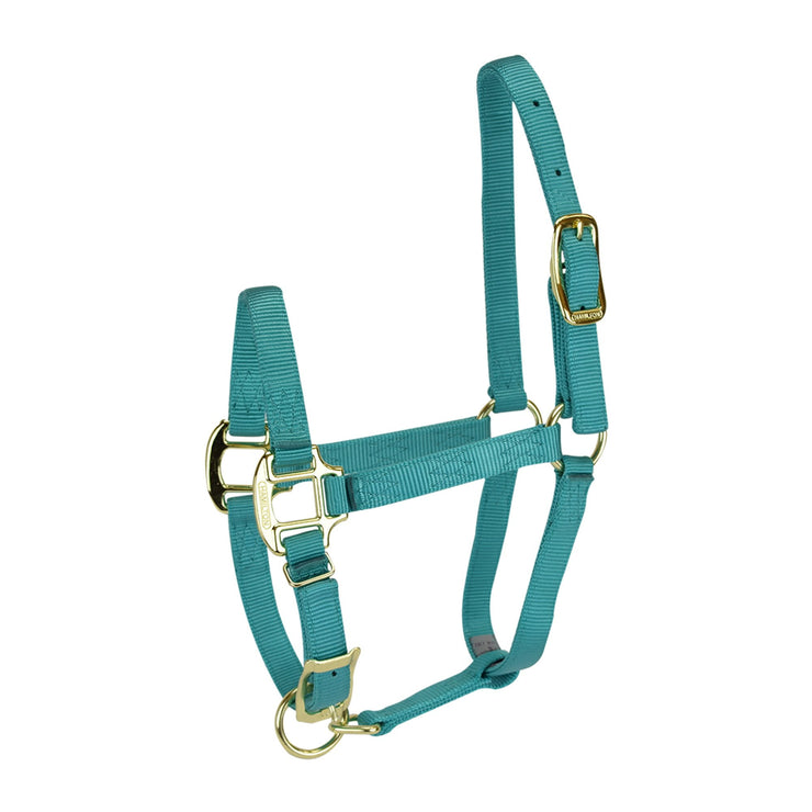 3/4” Quality Nylon Halters with Adjustable Chin Strap - Halter - Hamilton - Miracle Corp