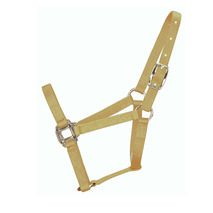 3/4” Quality Halter with Brass Hardware - Halter - Hamilton - Miracle Corp