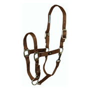 1" Deluxe Nylon Halters With Adjustable Chin Strap & Snap with Brushed Metal Hardware - Halter - Hamilton - Miracle Corp