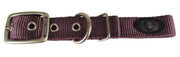 Designer Double Thick Buckle Collar with Brushed Nickel Finish - Collar - Hamilton - Miracle Corp