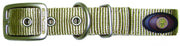 Designer Double Thick Buckle Collar with Brushed Nickel Finish - Collar - Hamilton - Miracle Corp