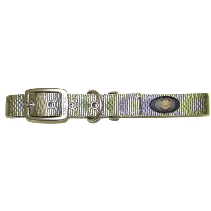 Double Thick Buckle Collars with Brushed Nickel Finish