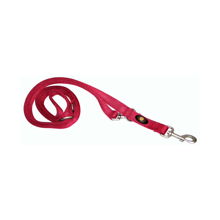 Double Thick Multi-Use/Euro Leash with Brushed Nickel Finish