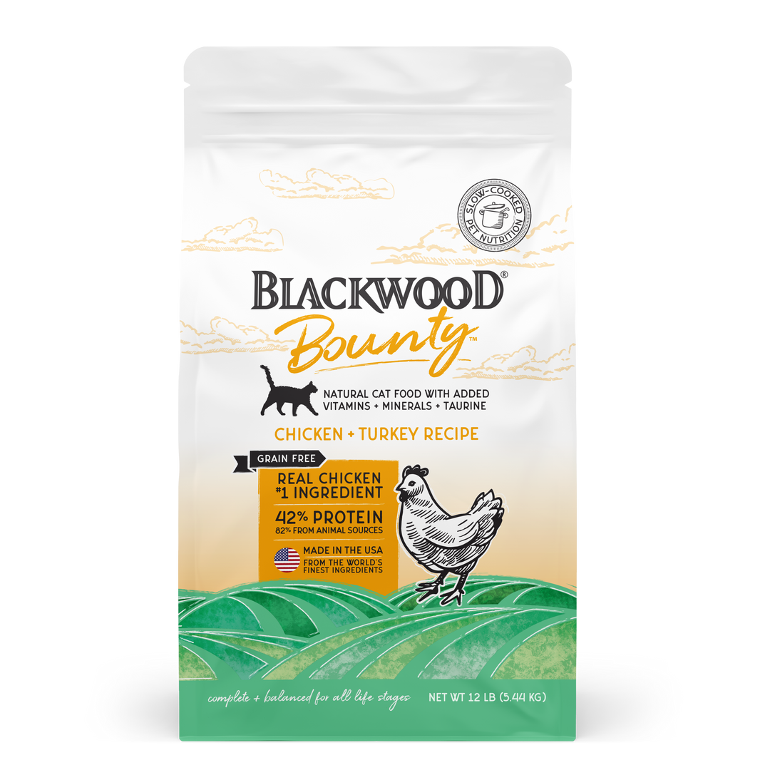 Blackwood cat food kitten clearance
