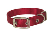 Classic Single Thick Buckle Collars, Large