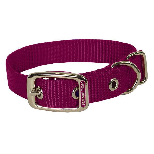 Classic Single Thick Buckle Collars, Large - Collar - Hamilton - Miracle Corp