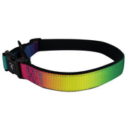 Rainbow Collars with Neoprene Padding