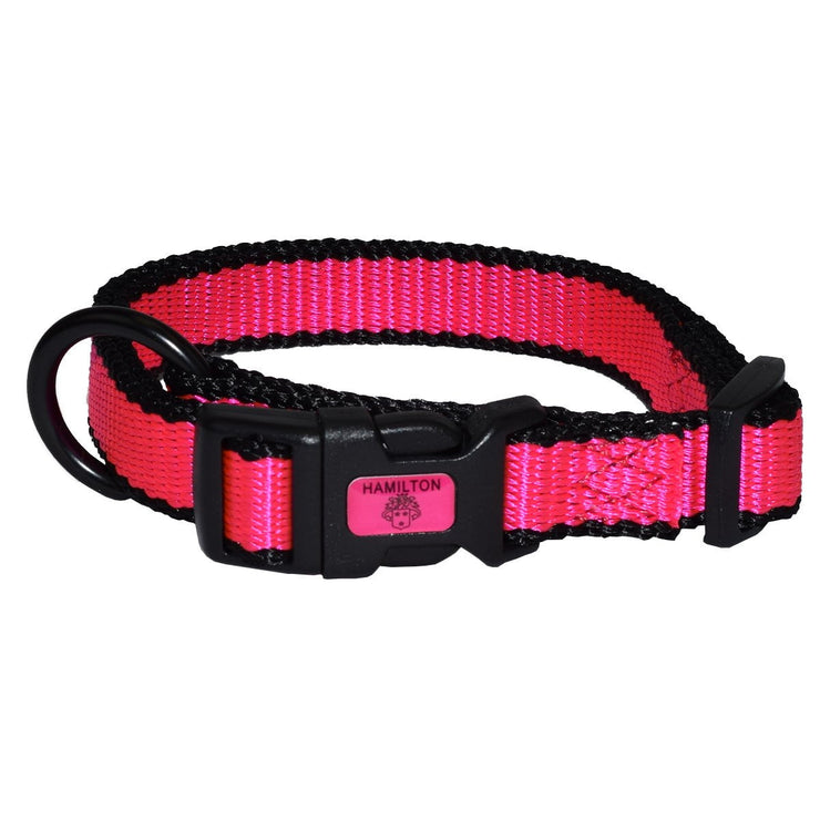 Neon Adjustable Collar - Collar - Hamilton - Miracle Corp