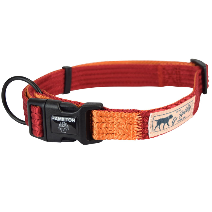 Volality Collars Adjustable Collars - Go Boldly – Miracle Pet