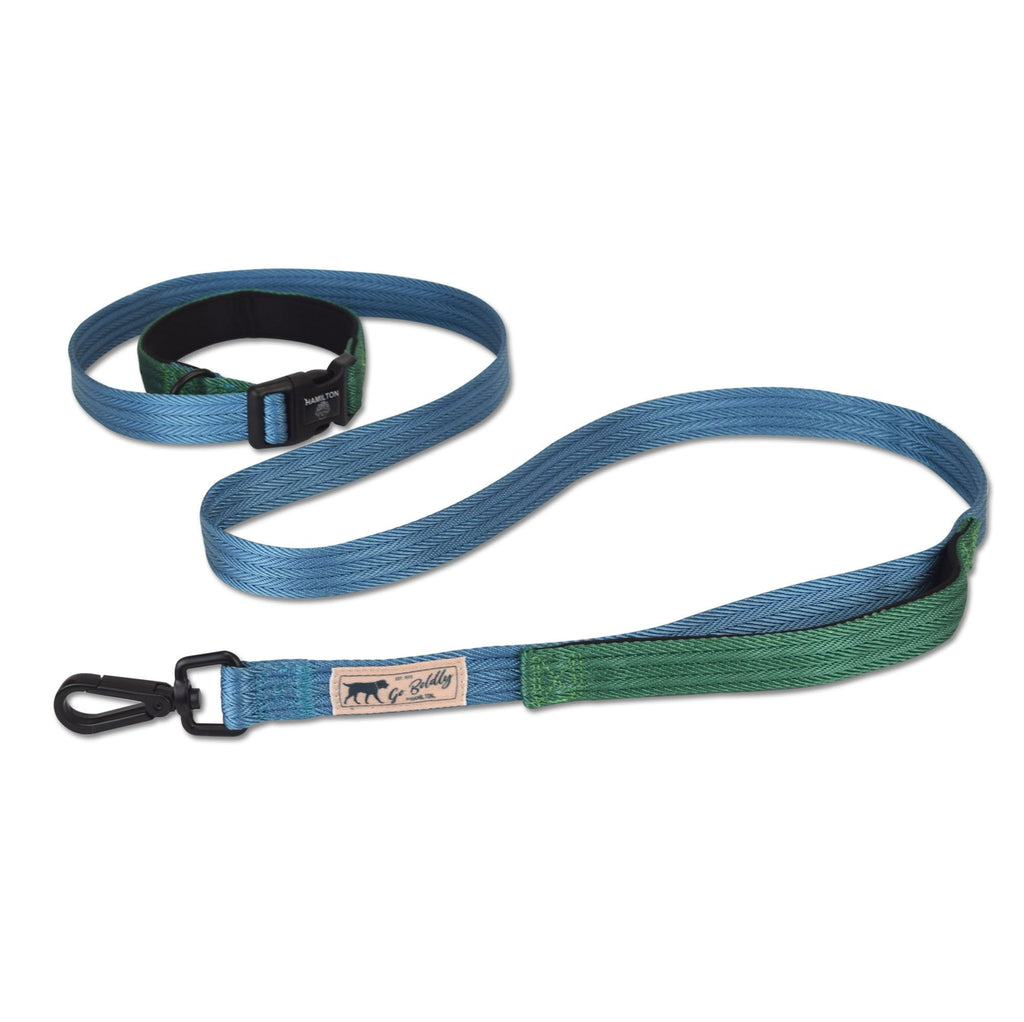 Hamilton dog leashes store