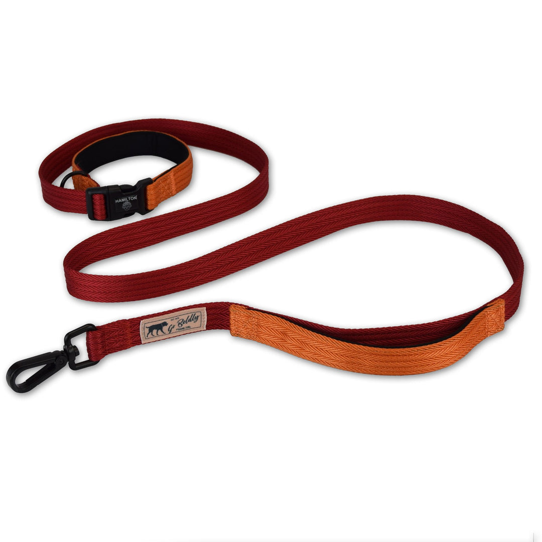 Get Out Go Leashes Miracle Pet