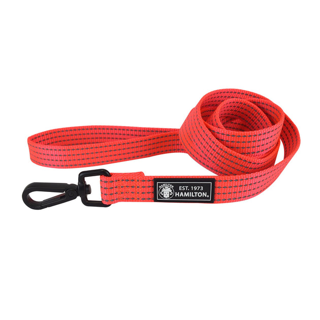 High Visibility Single Thick Leash, Reflective – BrightPet