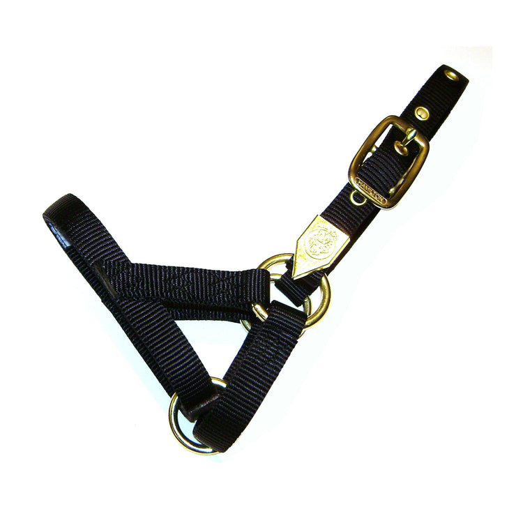 Deluxe Halter with Adjustable Crown - Halter - Hamilton - Miracle Corp