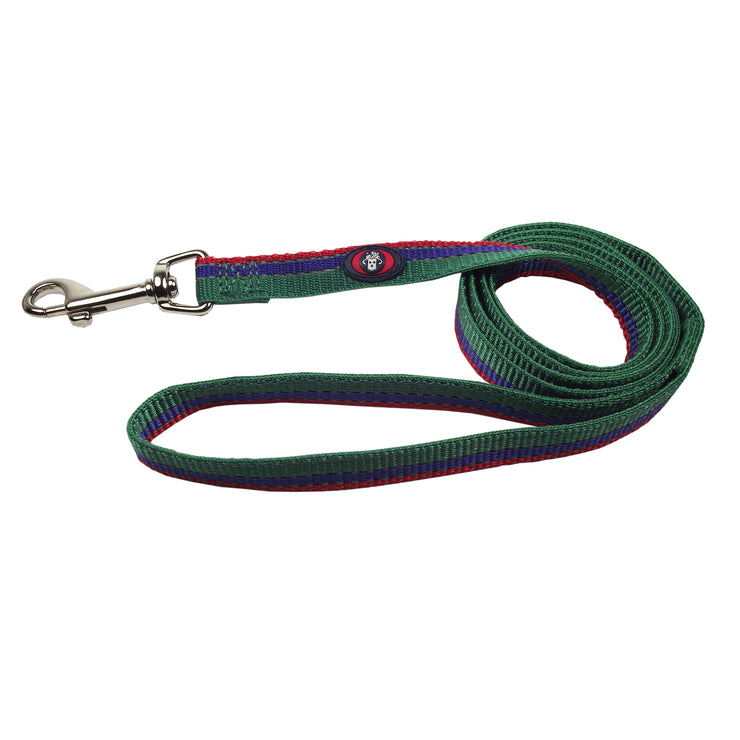 Reflective Leashes