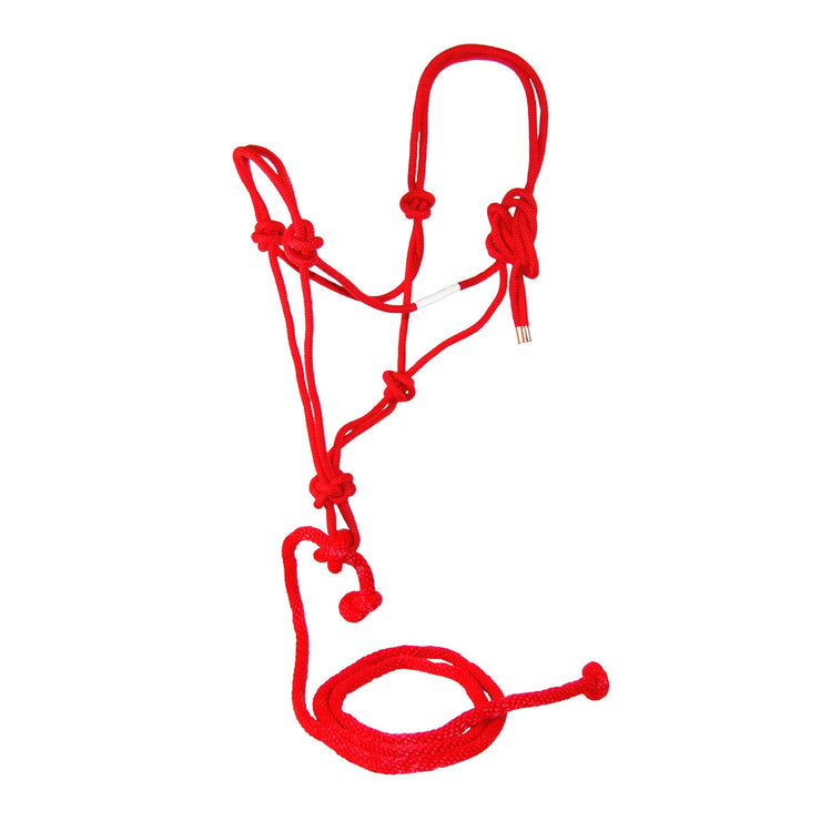 Average Rope Halters with 7' Lead, Single Color - Halter - Hamilton - Miracle Corp
