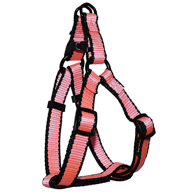 Neon Easy-On Harness – Miracle Pet