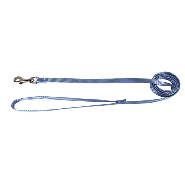 Single Thick 6' Long Leashes – BrightPet